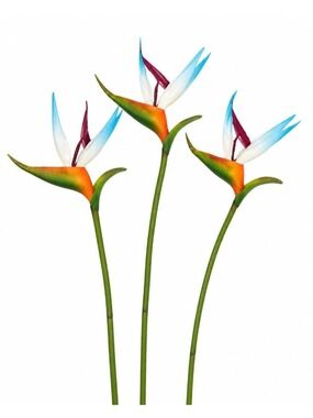 Bird of Paradise Stems Set of 3 Artificial Tropical Flowers 24 Inch Faux Floral